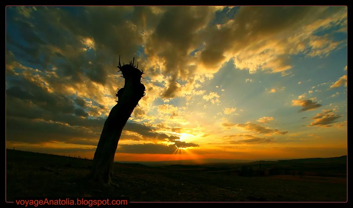 Introduction to ankara day tours