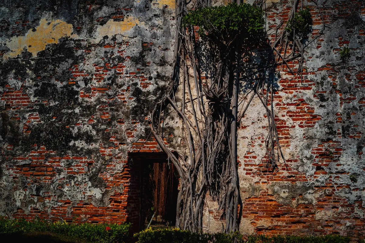 Anping Tree House