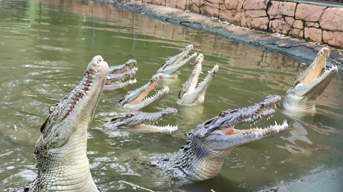 Baluarte Zoo and Safari