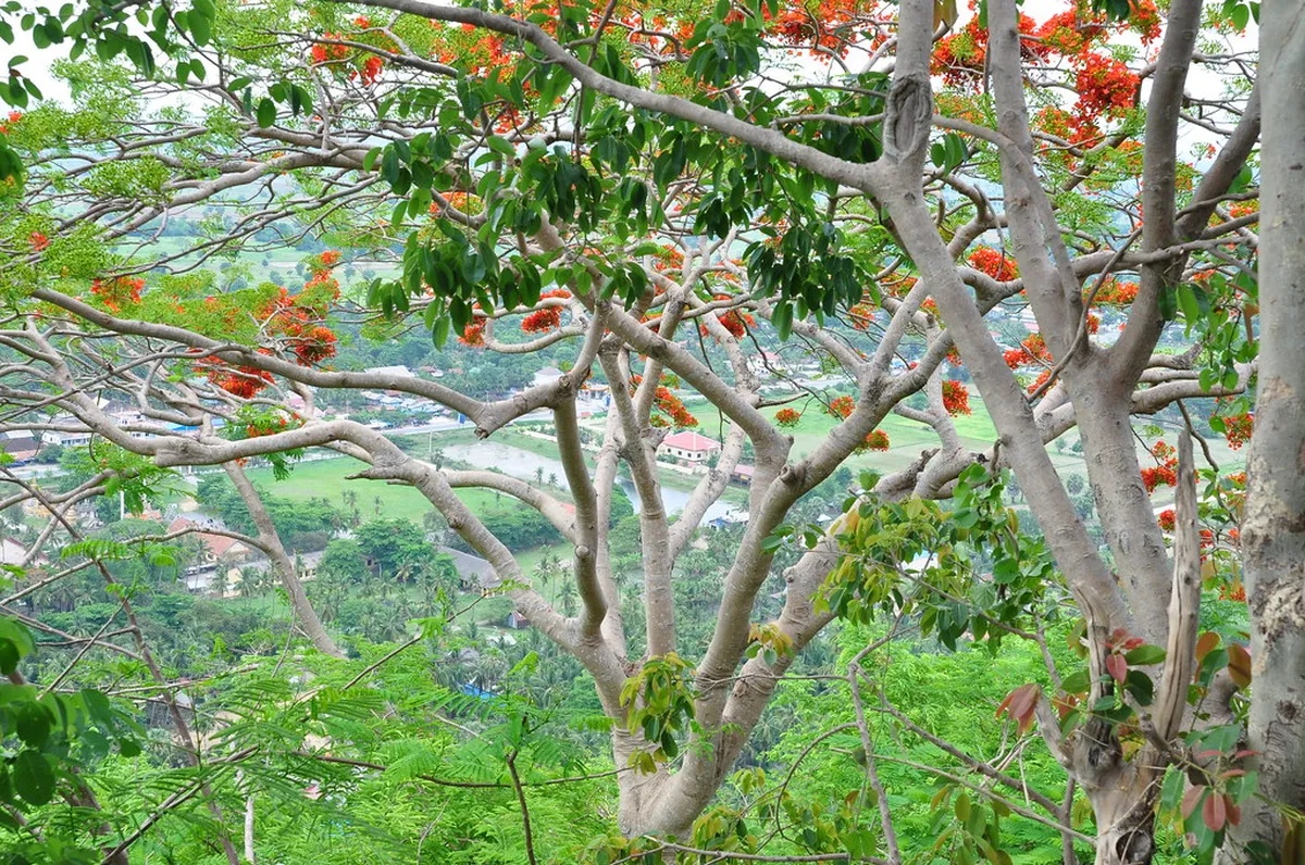 Introduction to battambang attractions