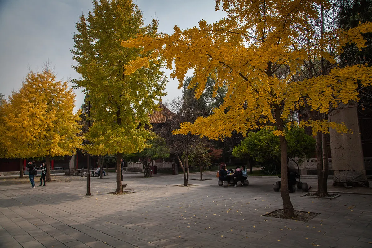 Beilin Park