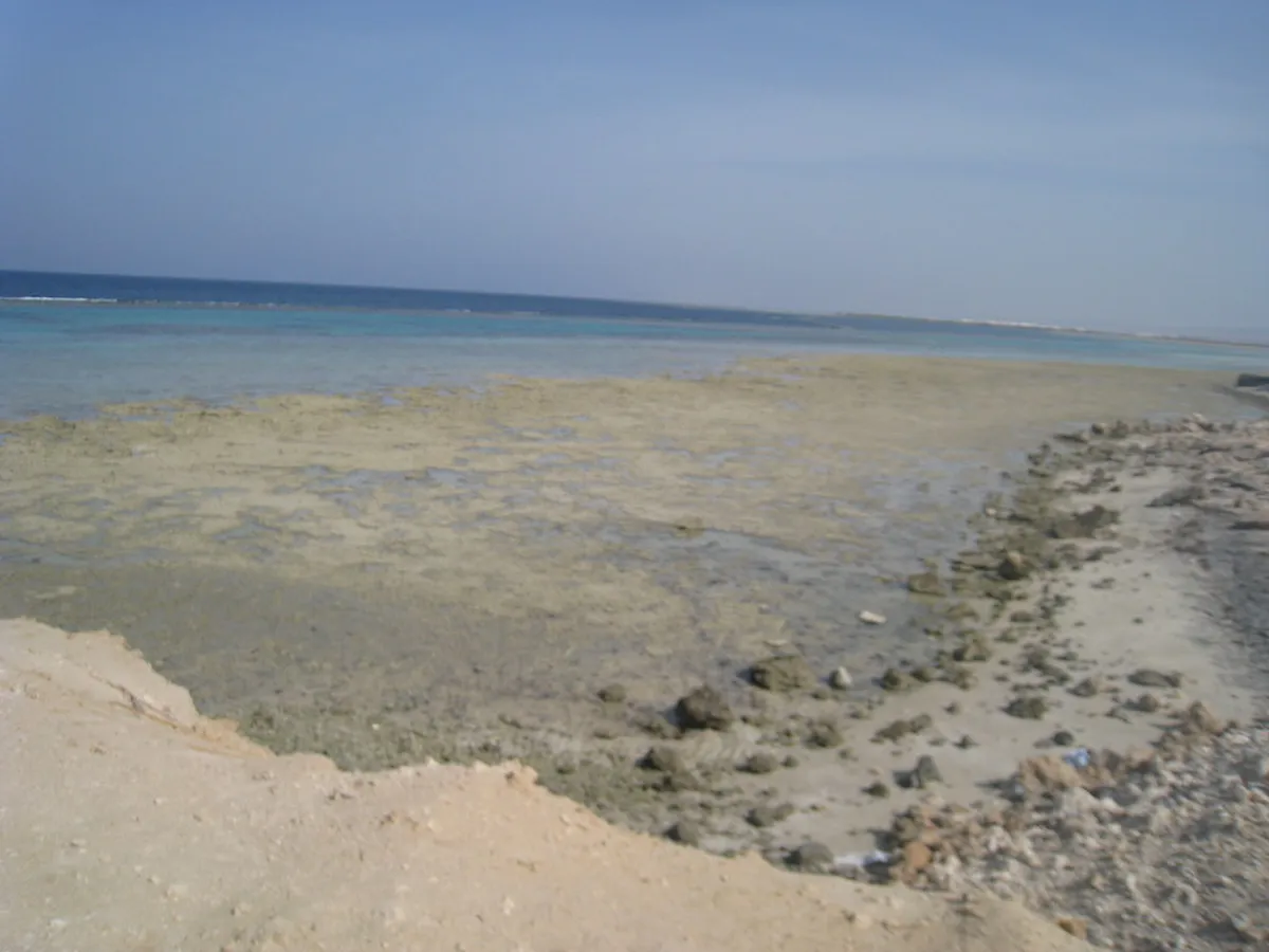 Berenice Beach