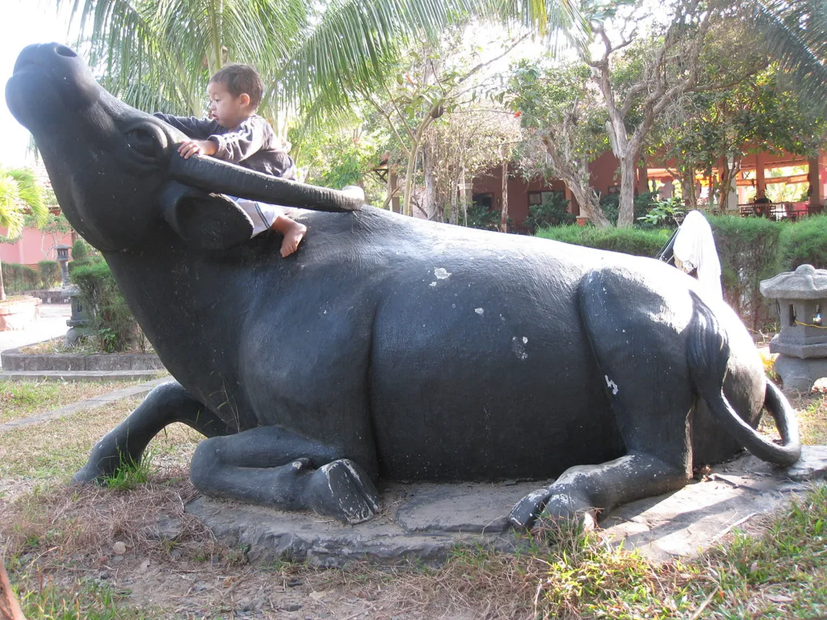 Binh Chau Hot Springs