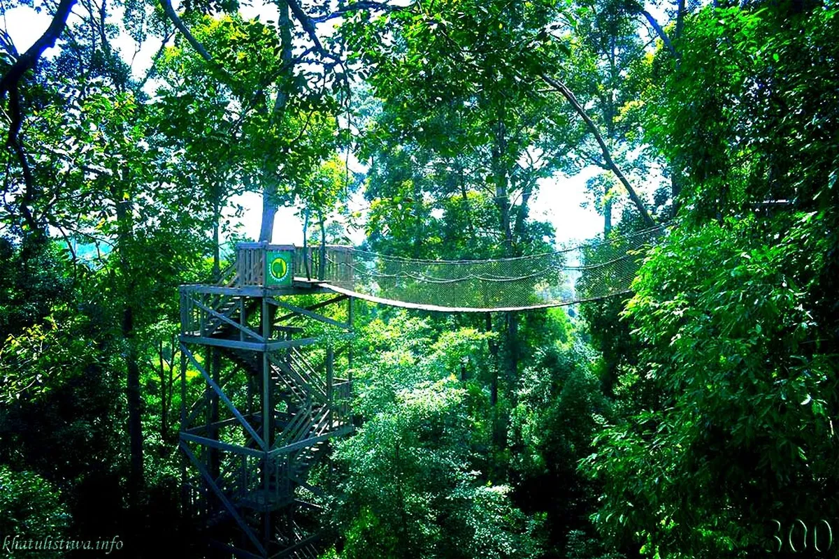 Bukit Bangkirai