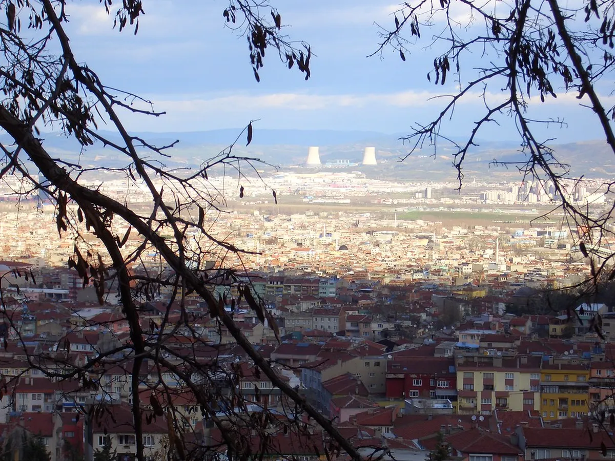 Bursa
