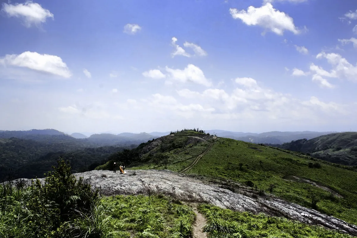 Cardamom Mountains