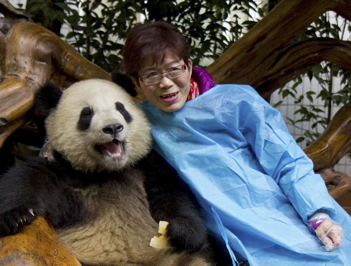 Introduction to chengdu activities
