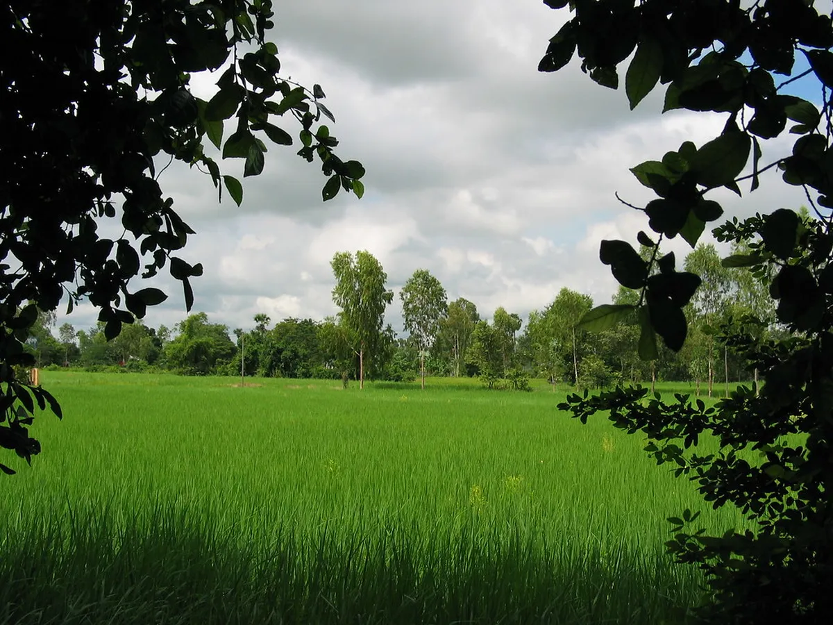 Choeung Ek Memorial (Killing Fields)