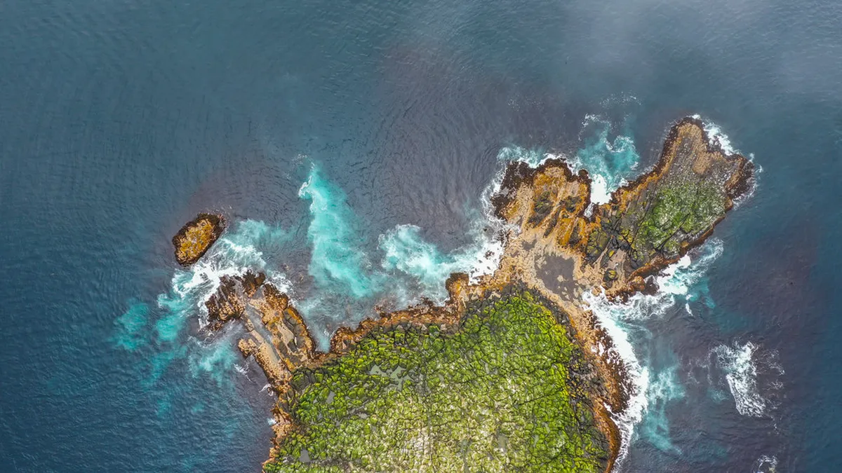 Commander Islands