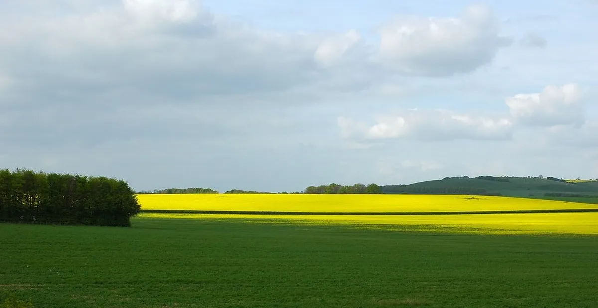 Countryside Village