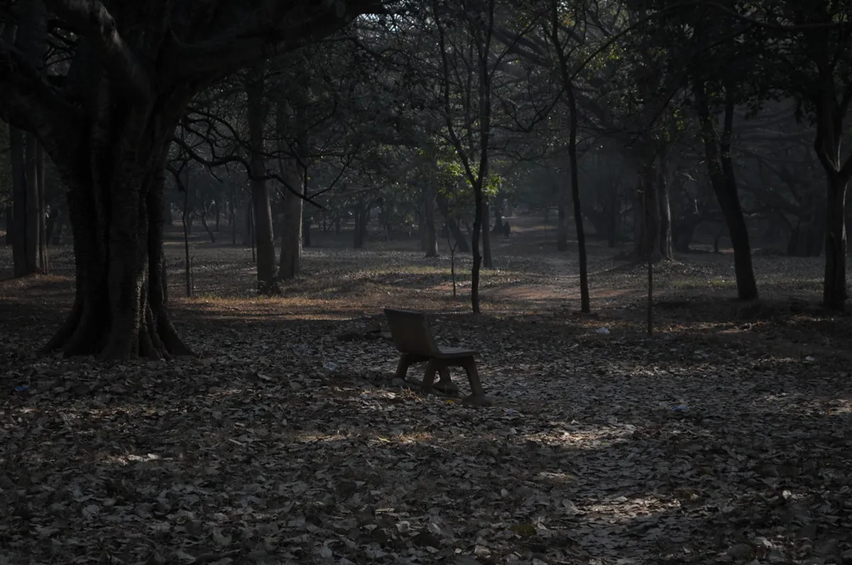 Cubbon Park