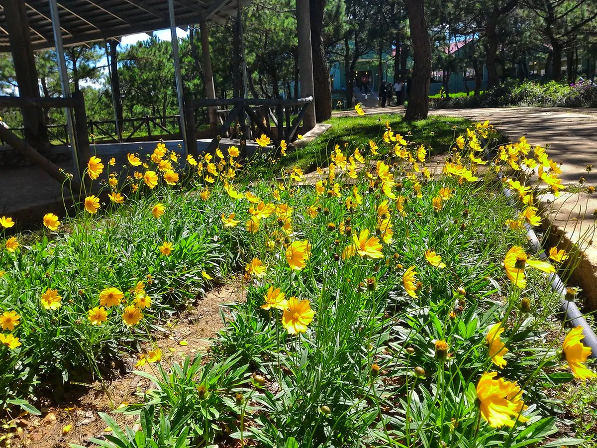 Dalat Flower Gardens