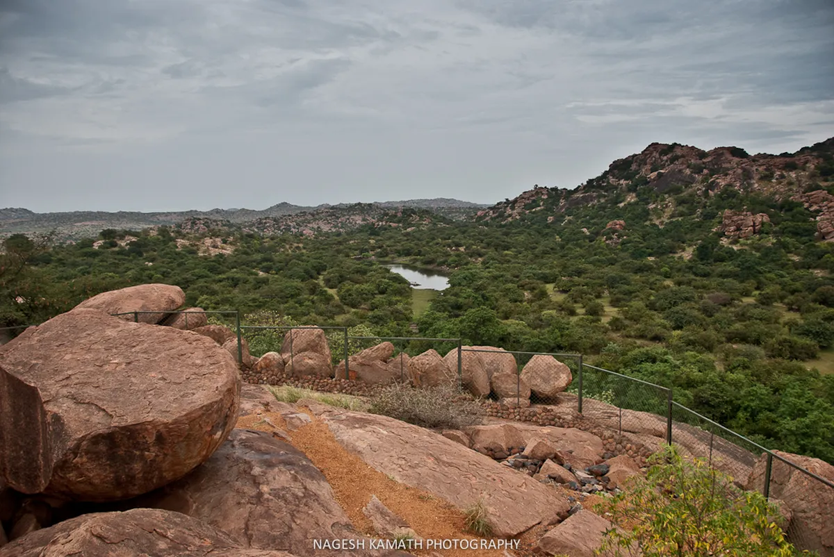 Daroji Sloth Bear Sanctuary