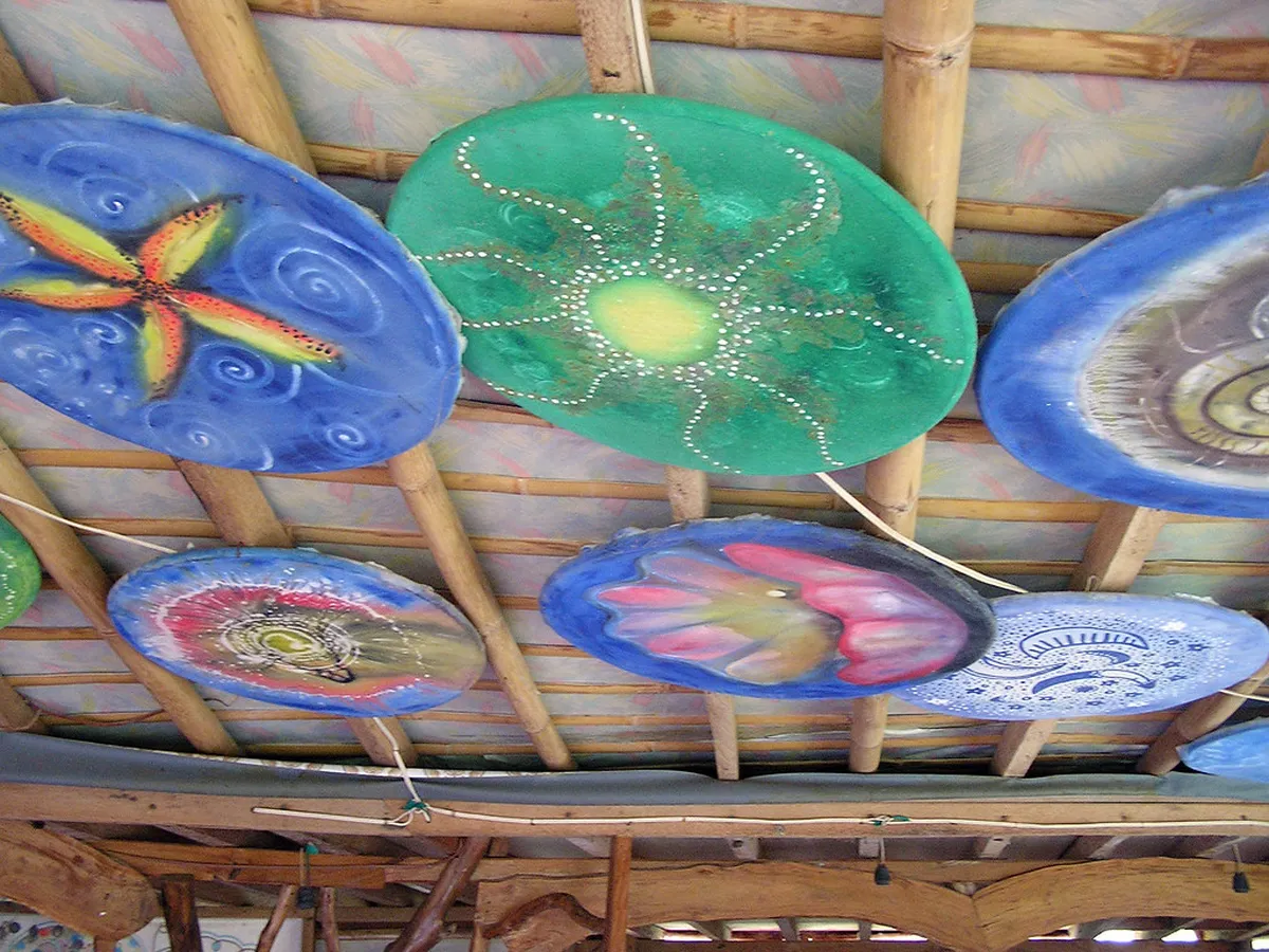 Introduction to davao experiences