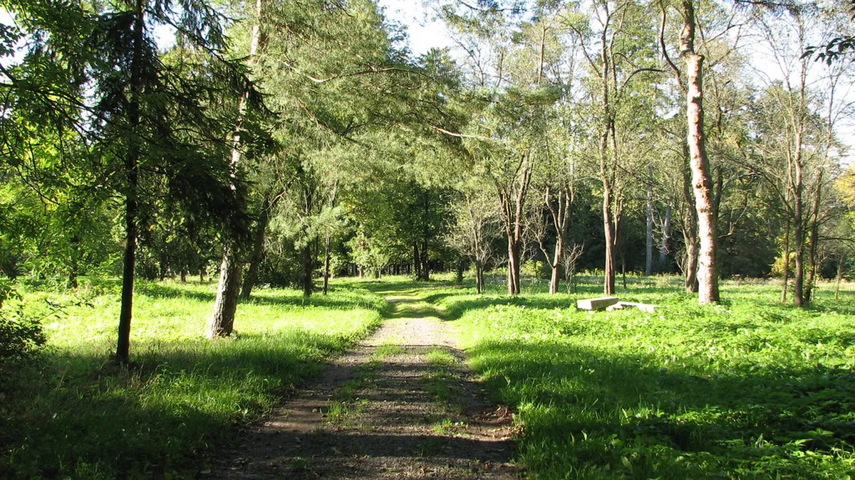 Dendrological Park