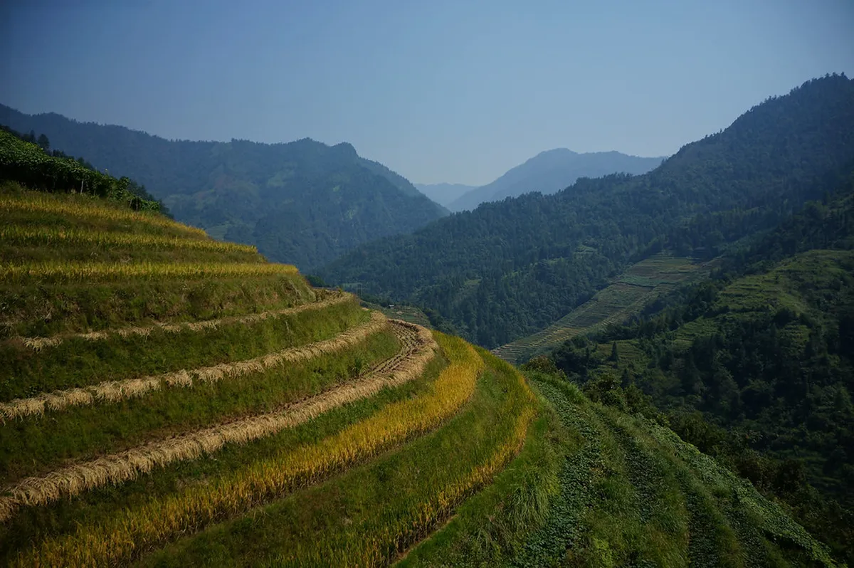 Dragon's Backbone Rice Terraces