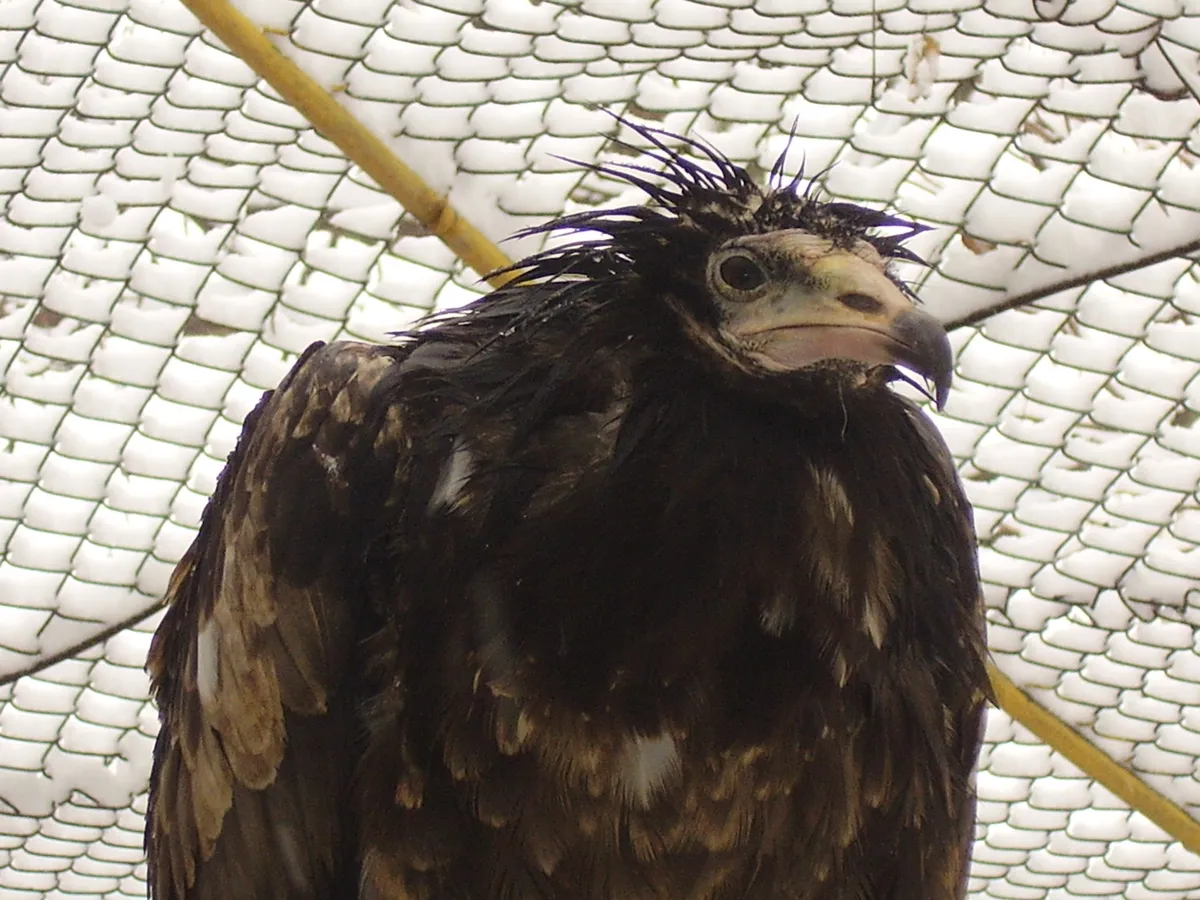 Dushanbe Zoo