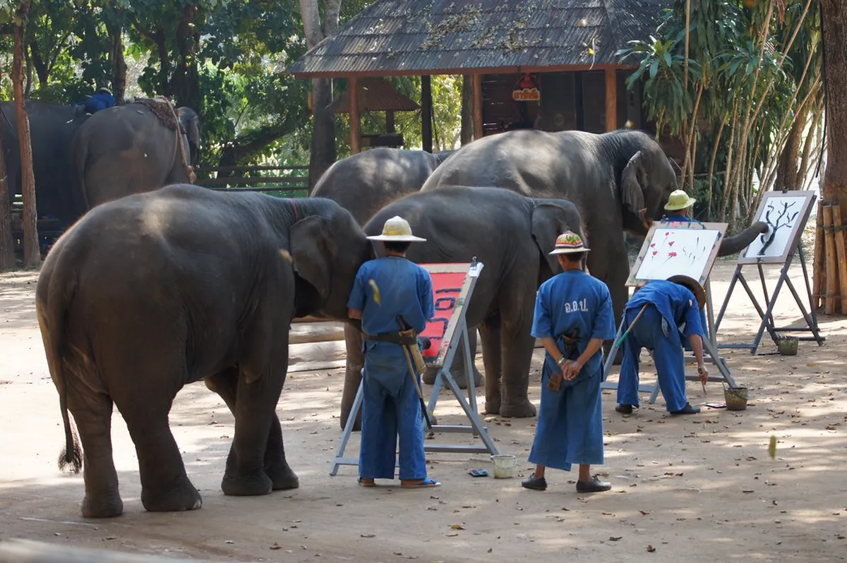 Elephant Conservation Center