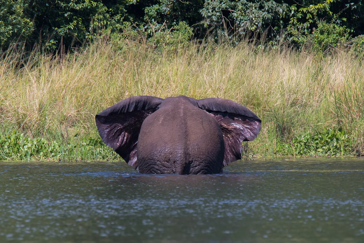 Elephant Falls
