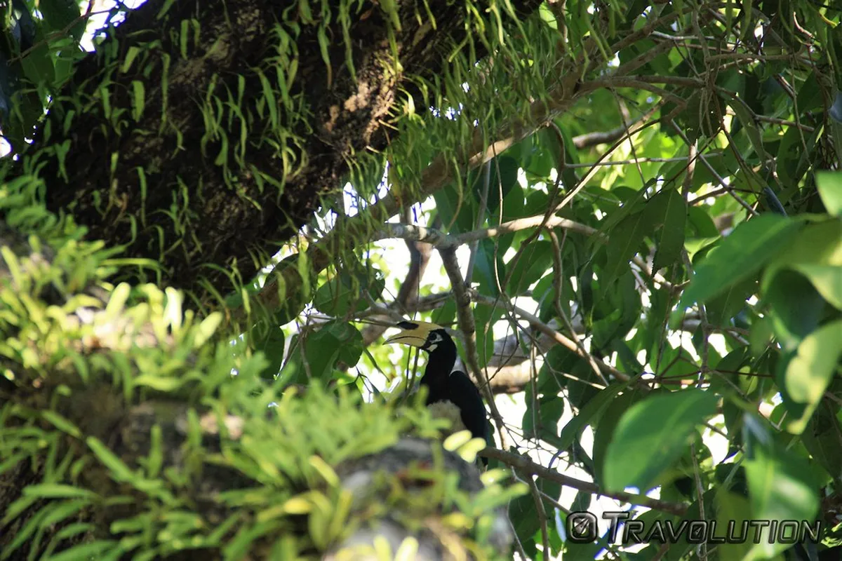 Endau-Rompin National Park