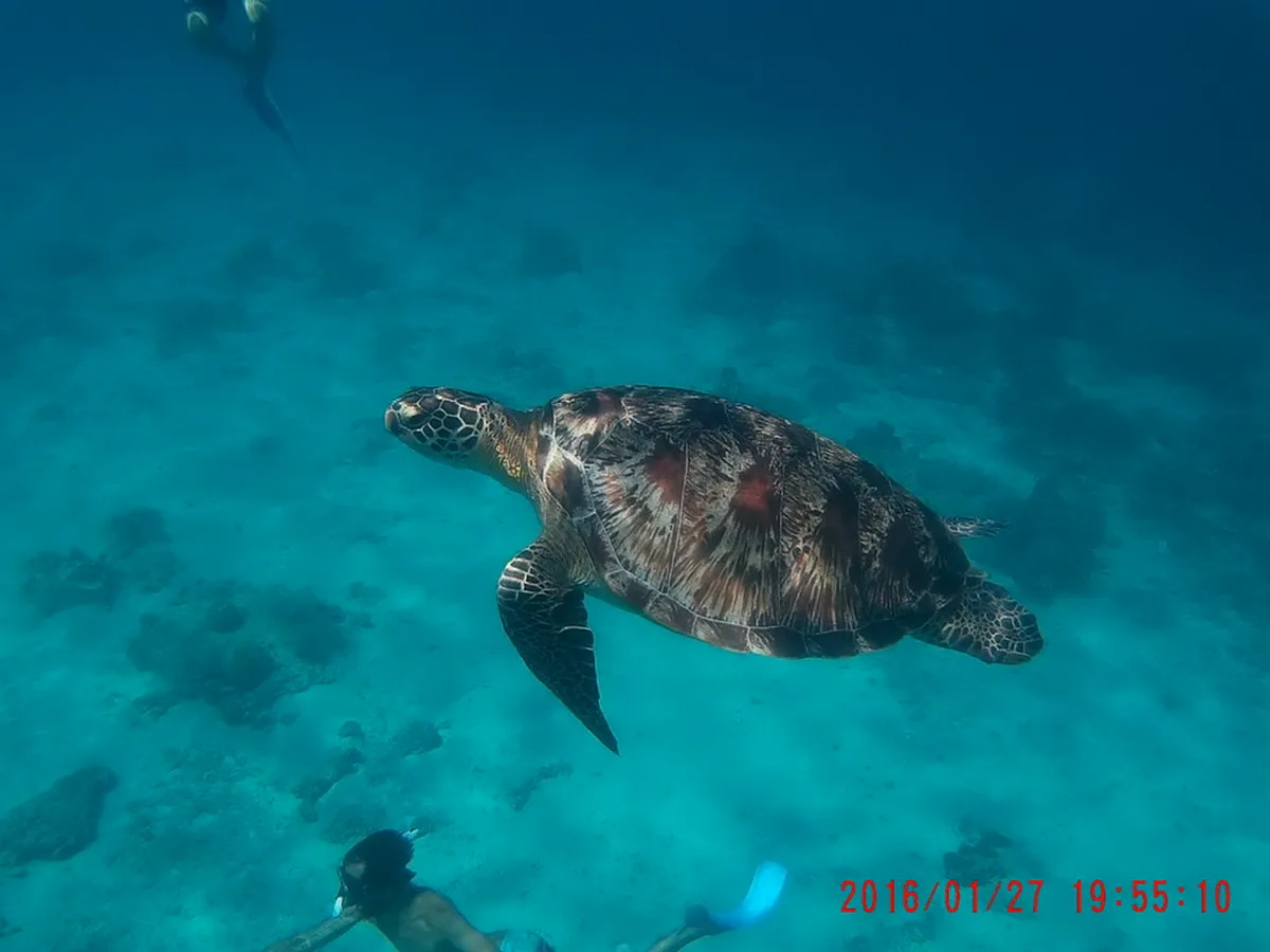 Gili Islands