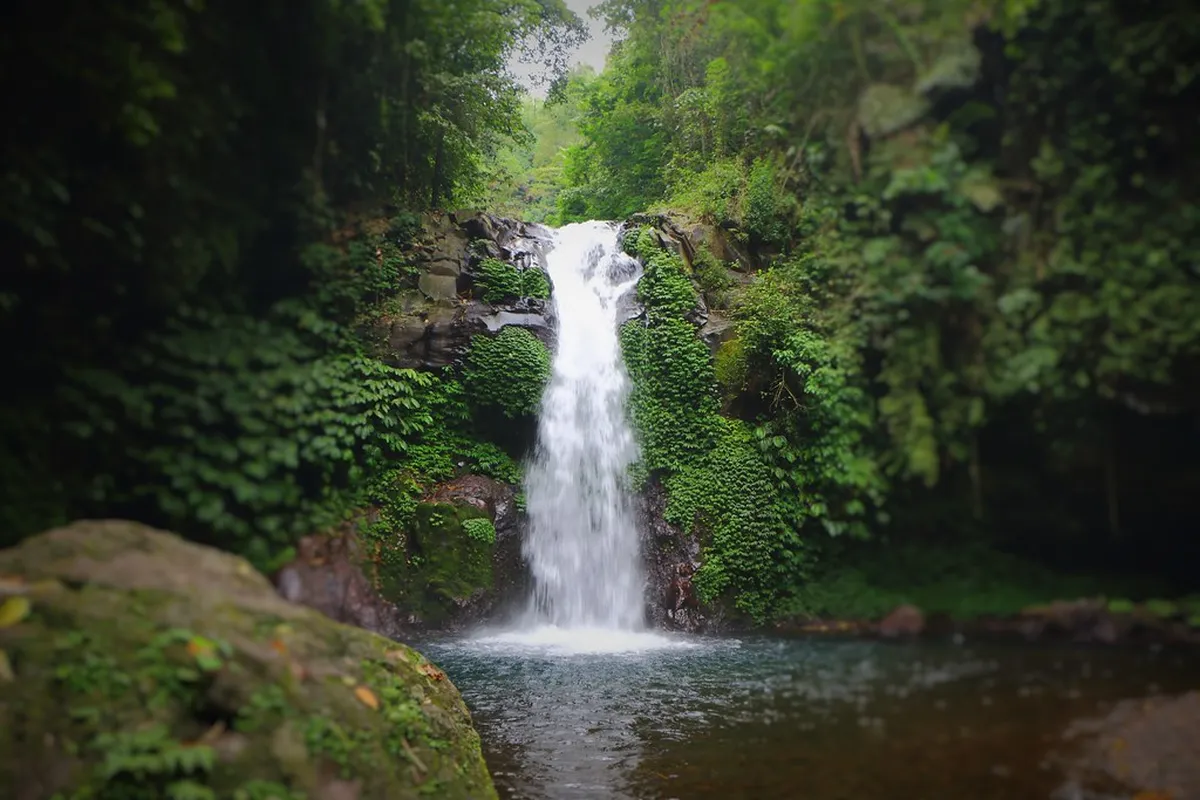 Gitgit Waterfall