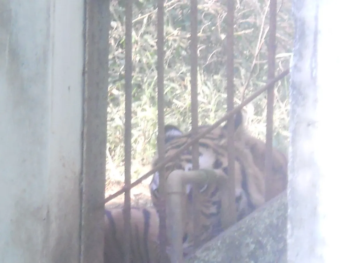 Guwahati Zoo