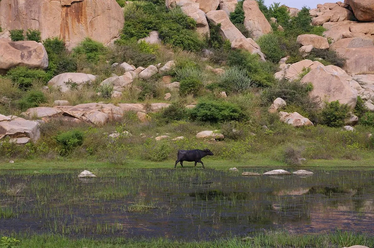 Hampi's Countryside