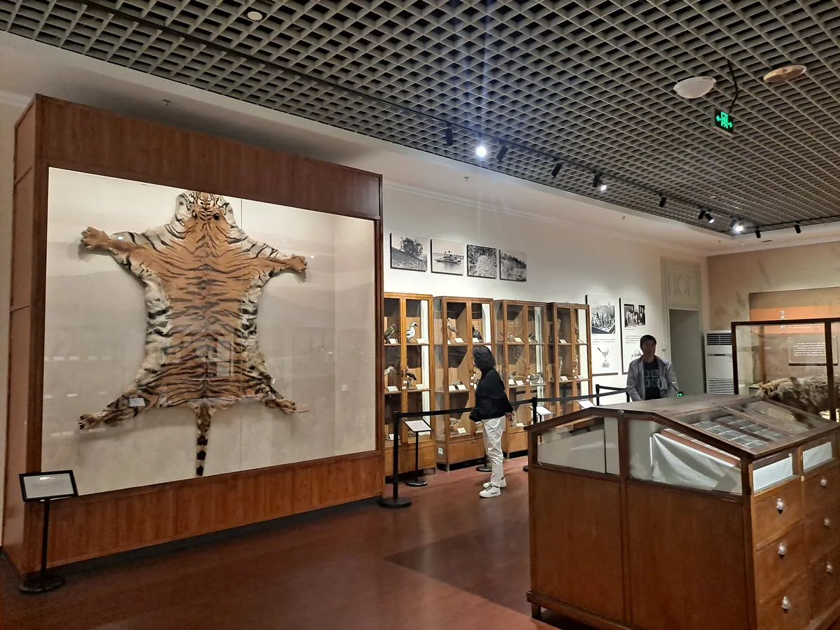 Heilongjiang Provincial Museum