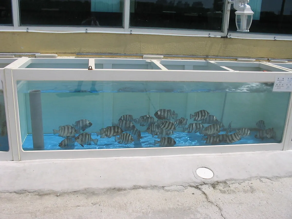 Jeongdongjin Aquarium