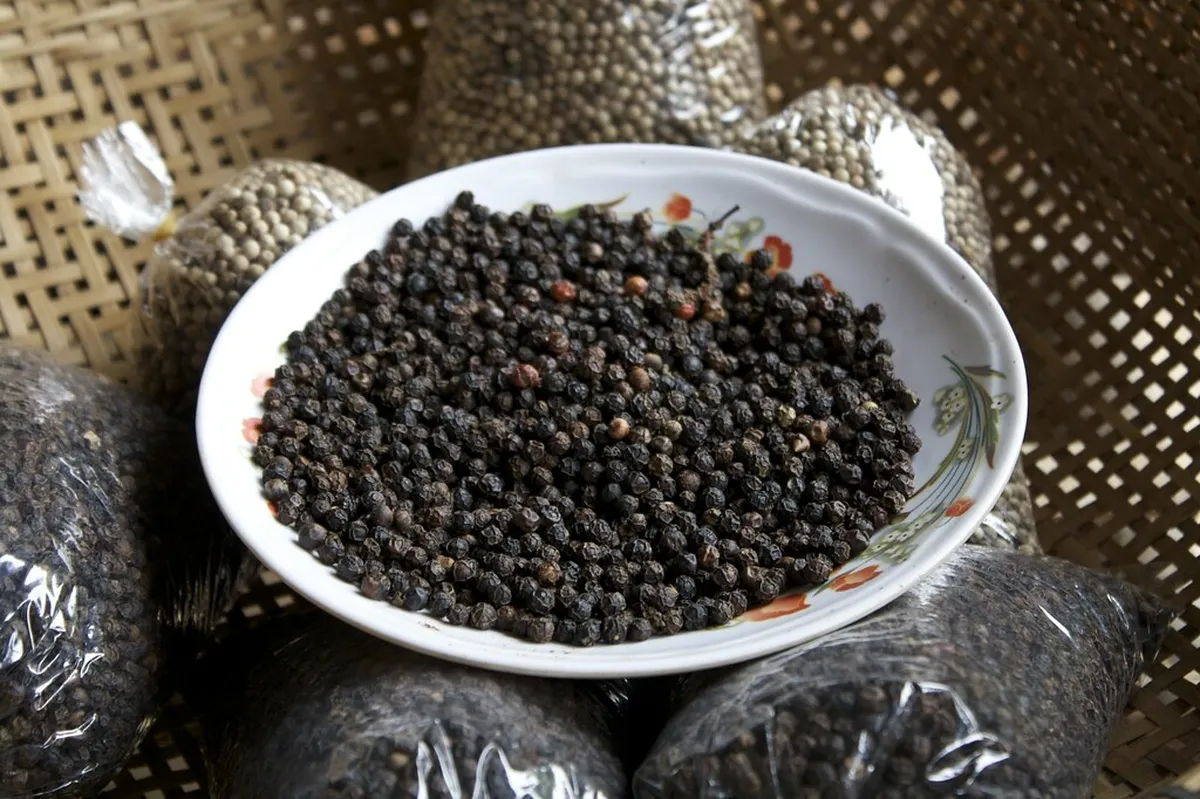 Kampot Pepper