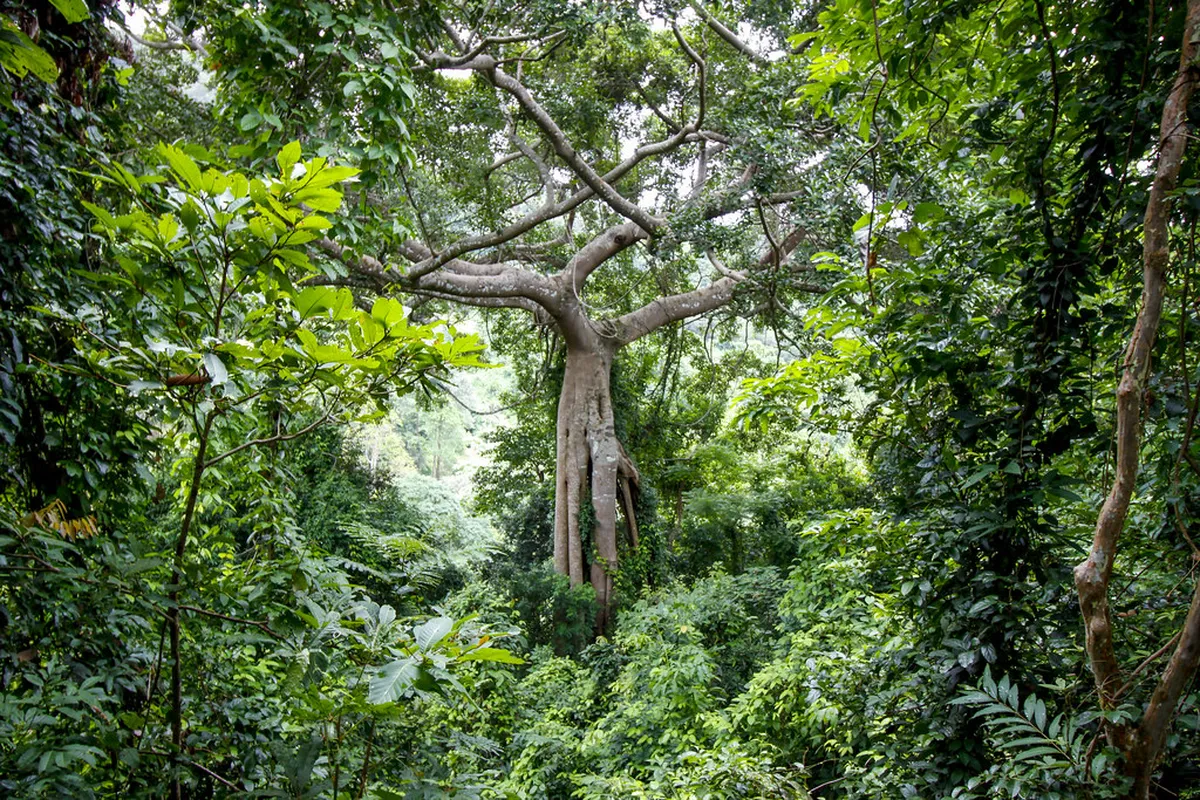 Kep National Park
