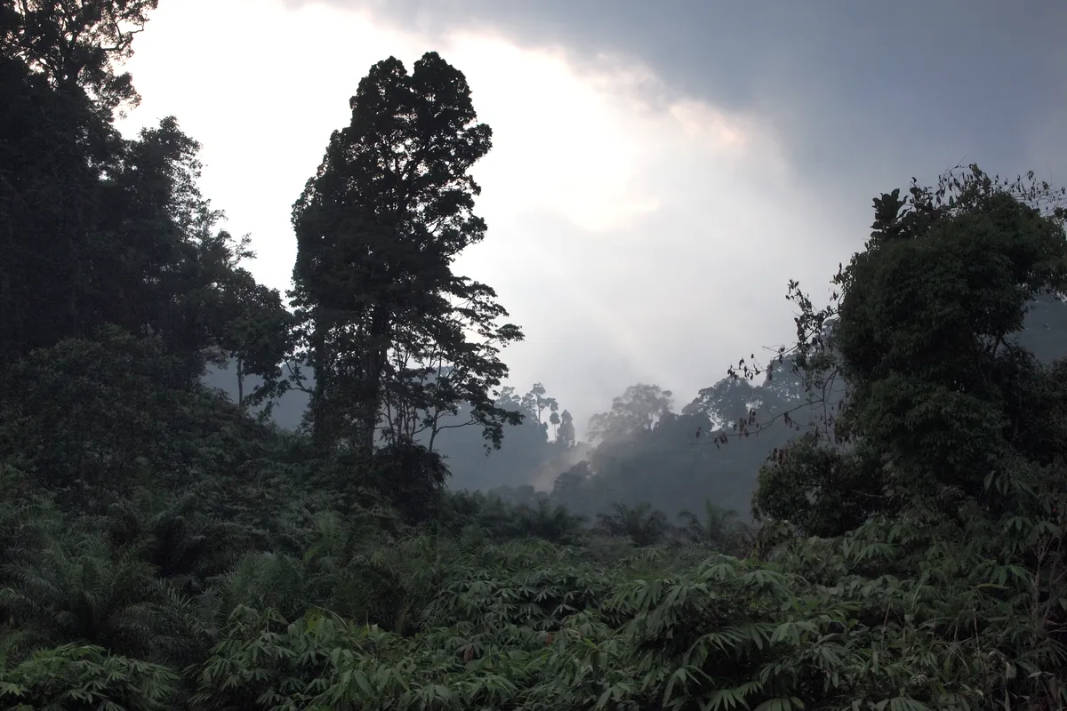 Khao Phang Forest Park
