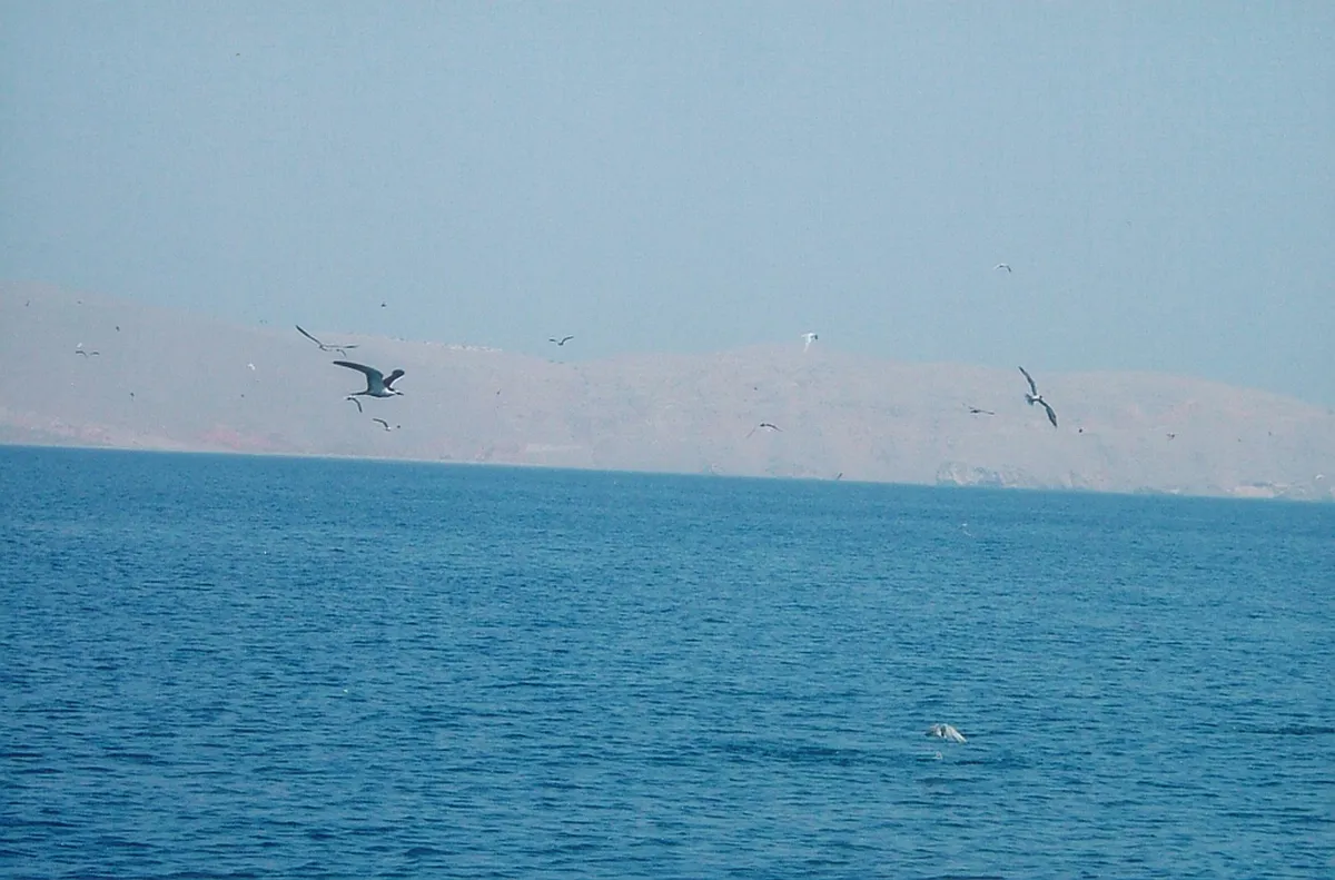 Introduction to khasab activities