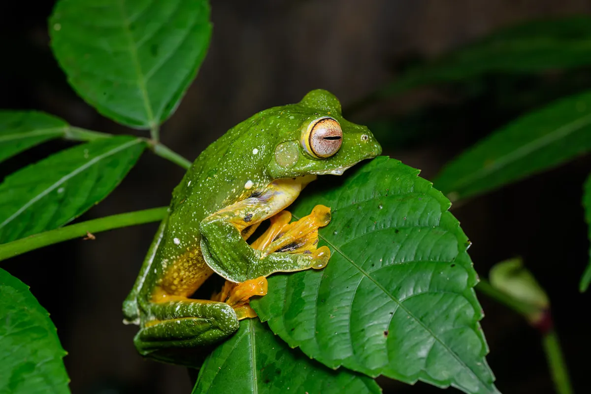 Kui Buri National Park