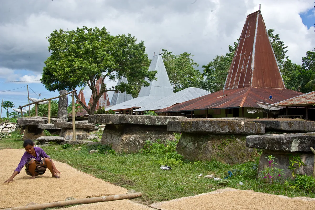 Introduction to kupang activities