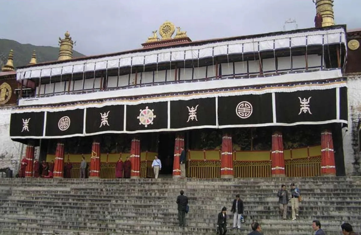 Introduction to lhasa highlights