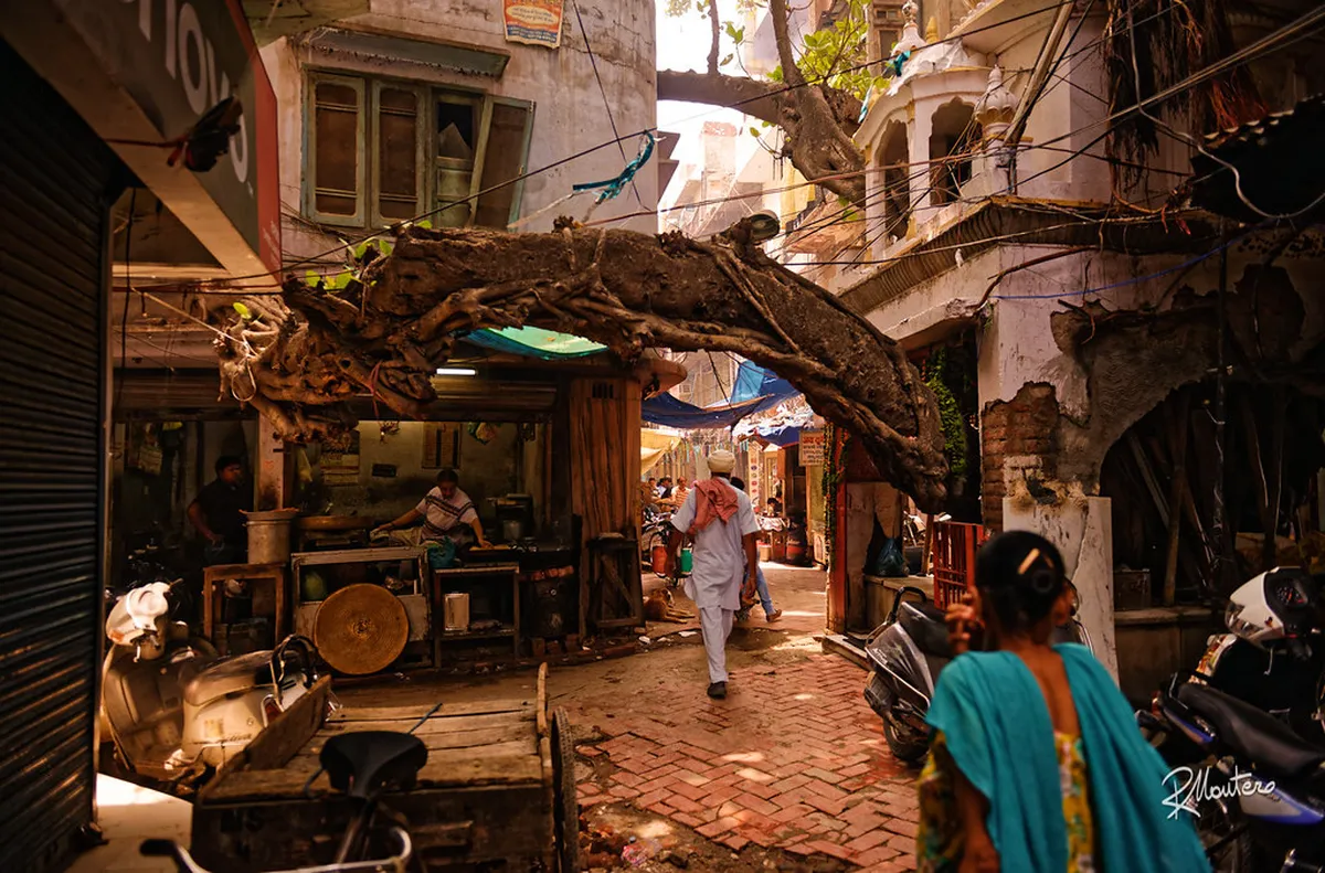 Little India