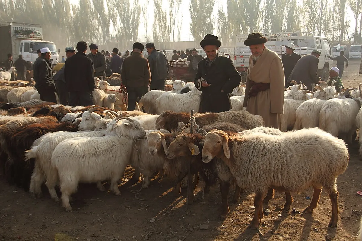 Livestock Bazaar