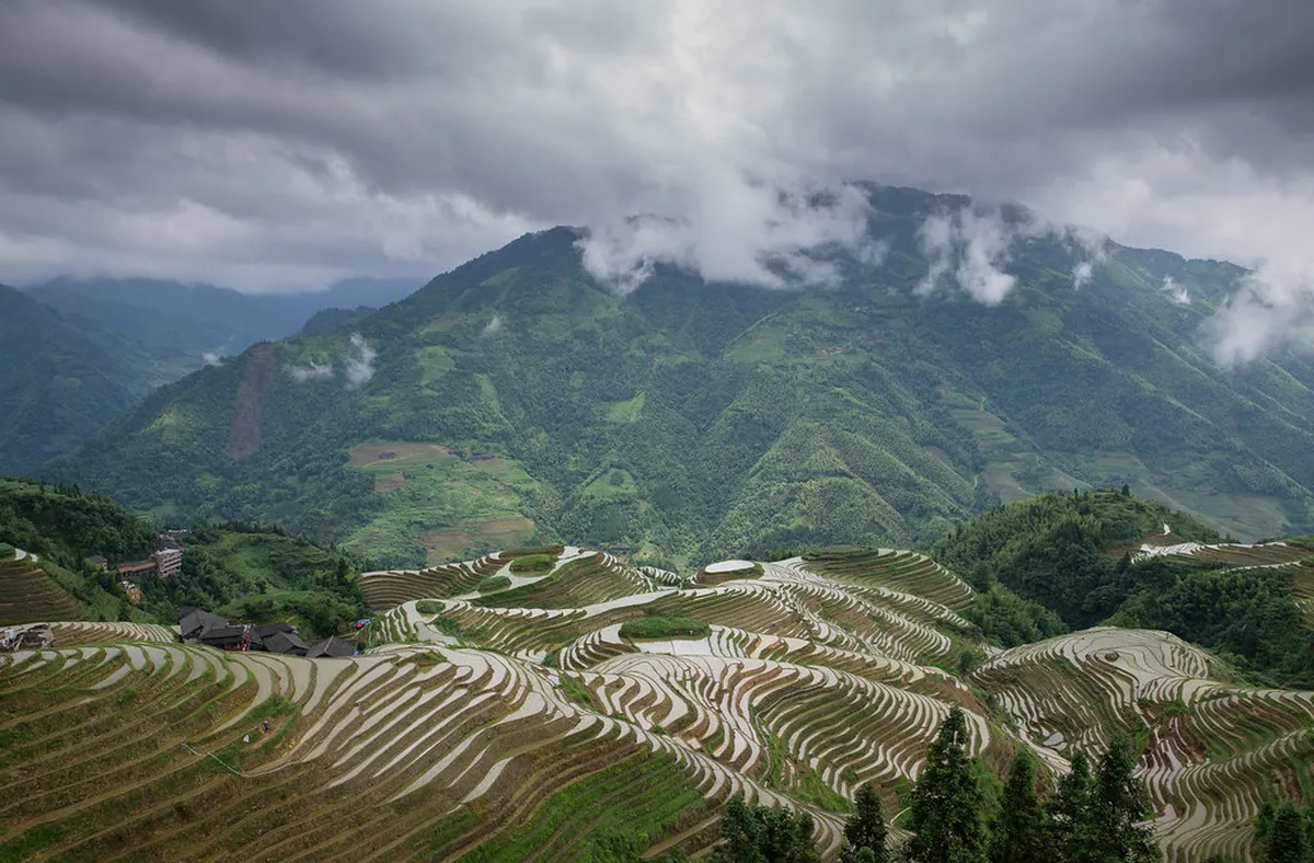 Longji Rice Terraces