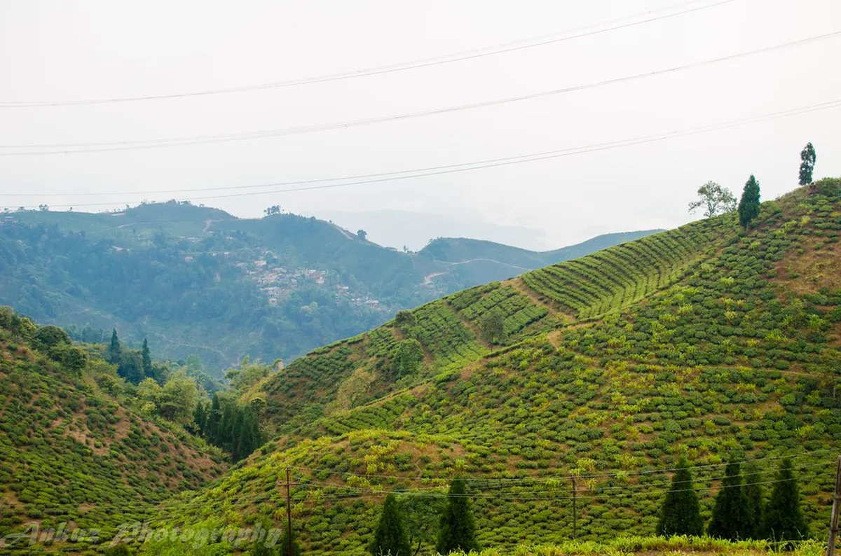 Mirik