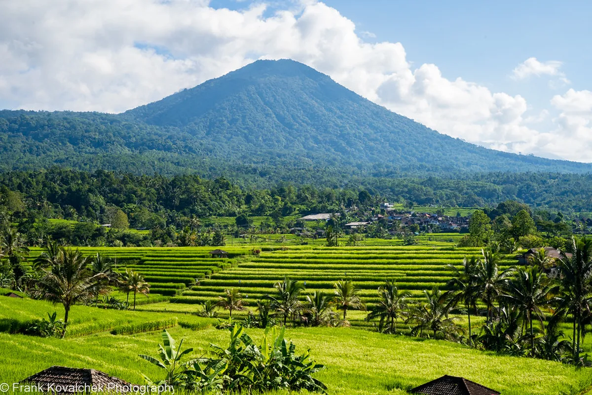 Munduk and Jatiluwih Rice Terraces