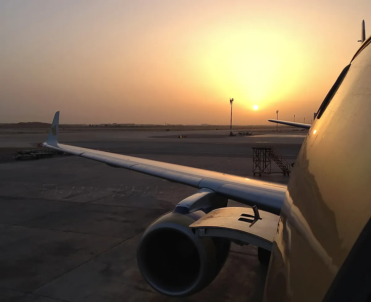 Introduction to muscat activities