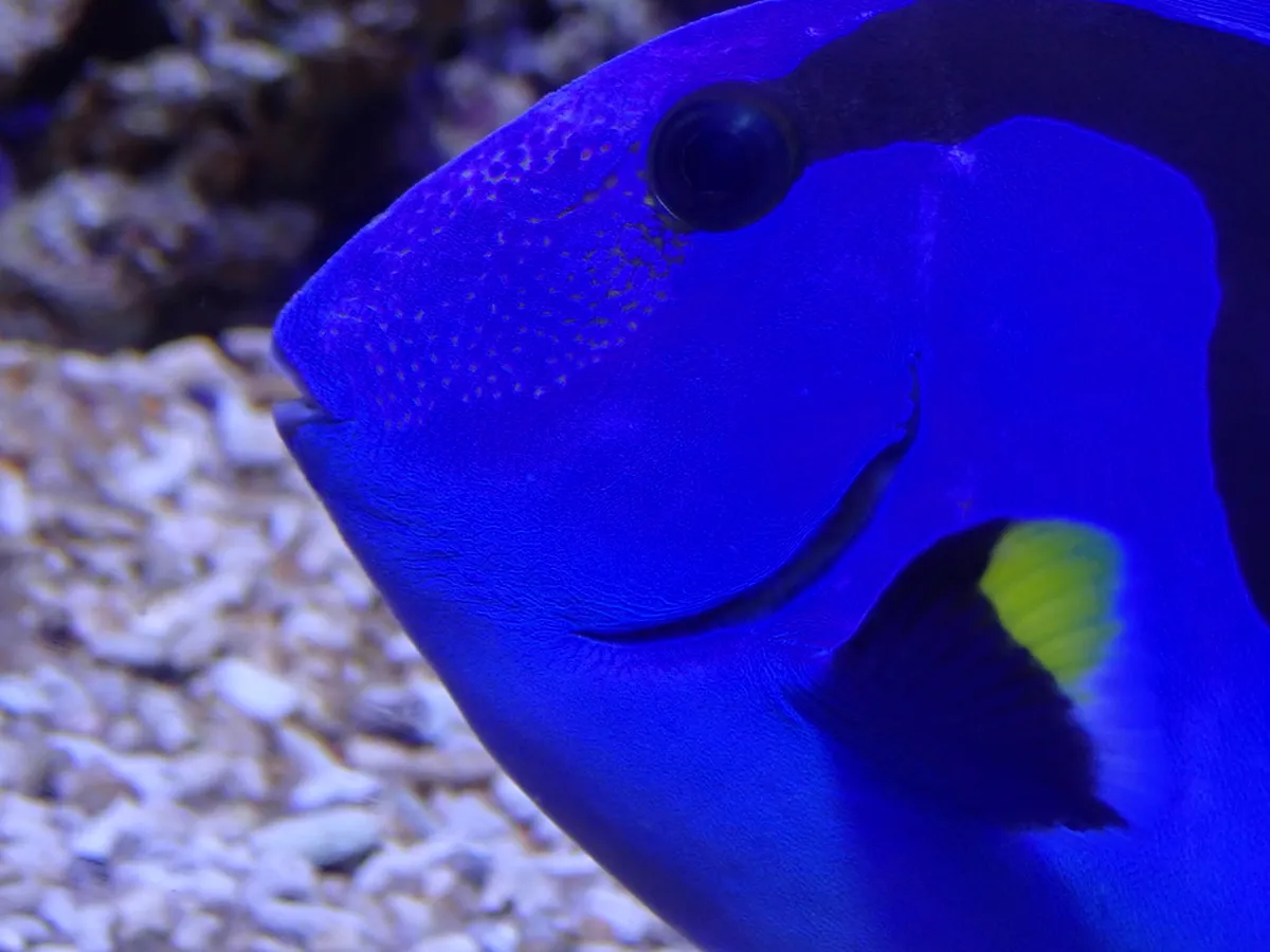 National Oceanographic Museum of Vietnam
