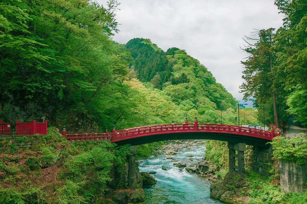 Introduction to nikkō experiences