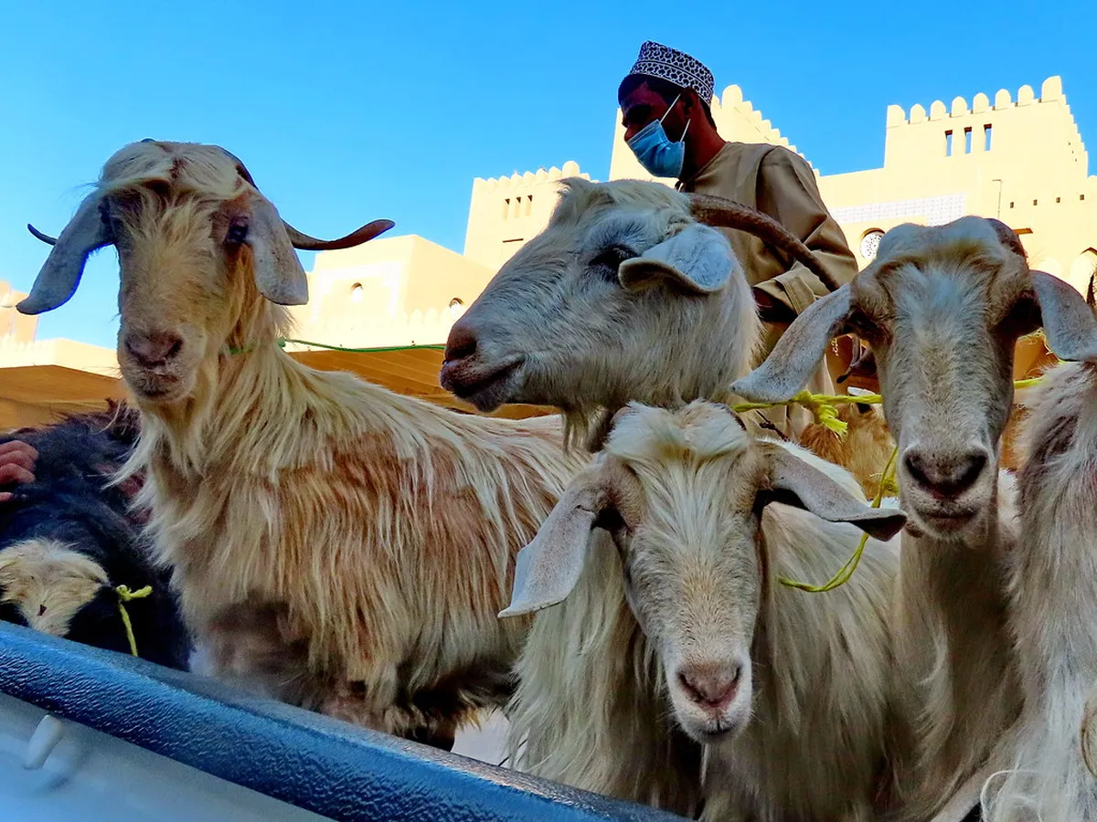 Nizwa Souk (Market)