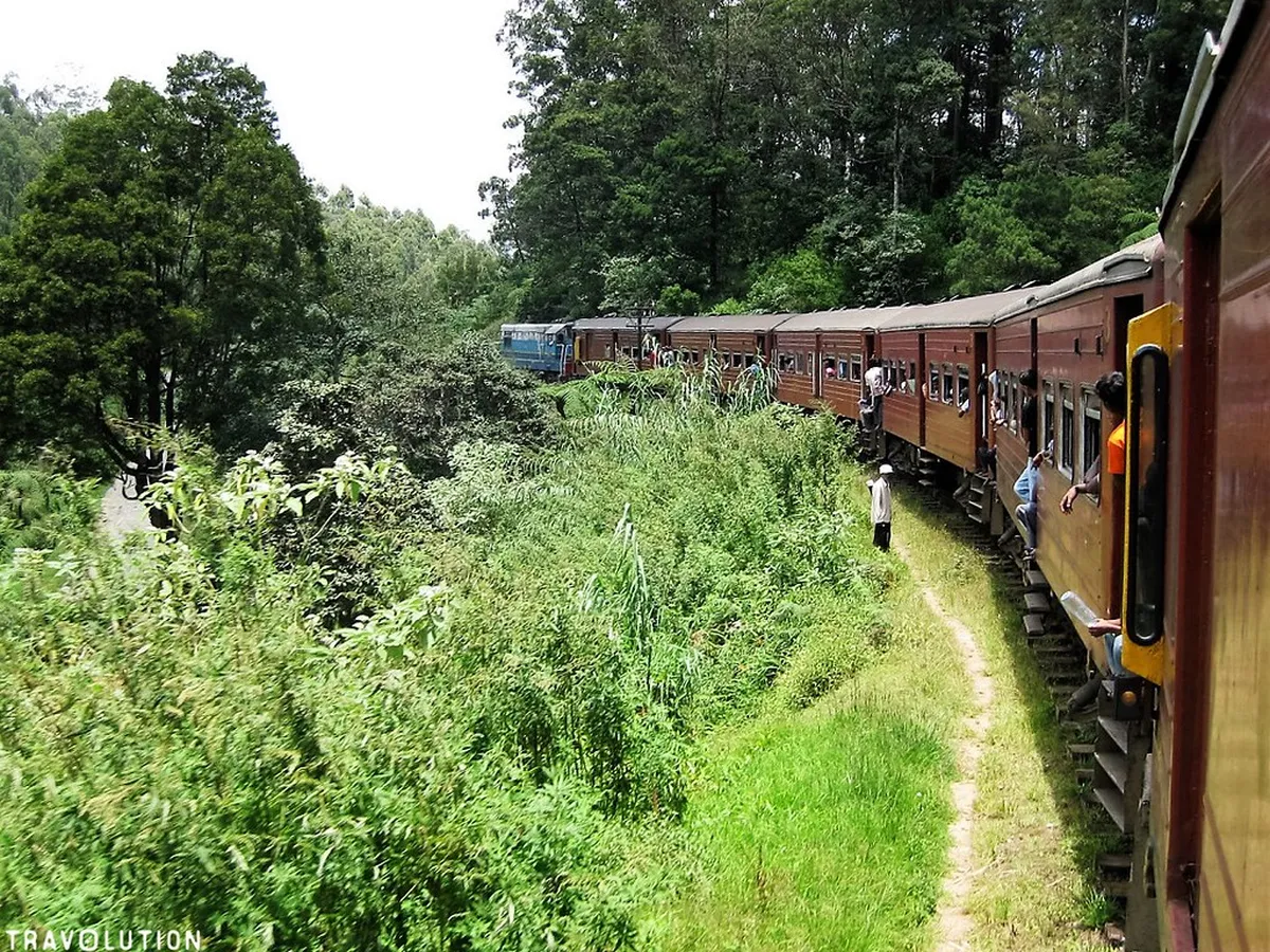 Introduction to nuwara eliya highlights