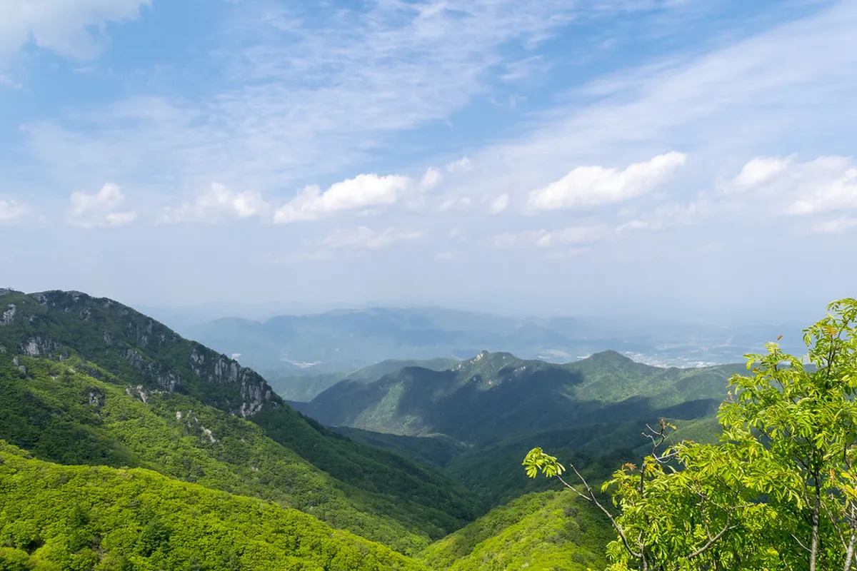 Palgongsan Mountain