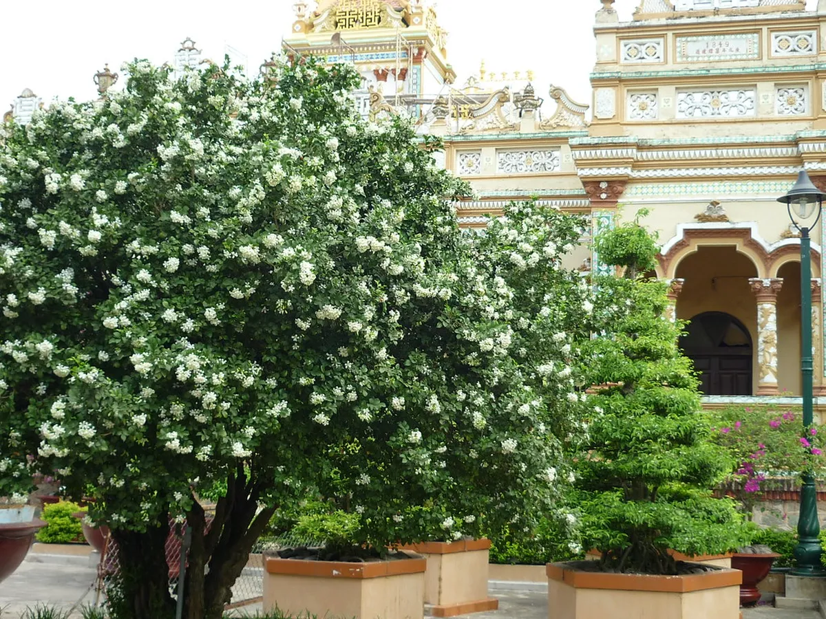Phat Hoc Pagoda