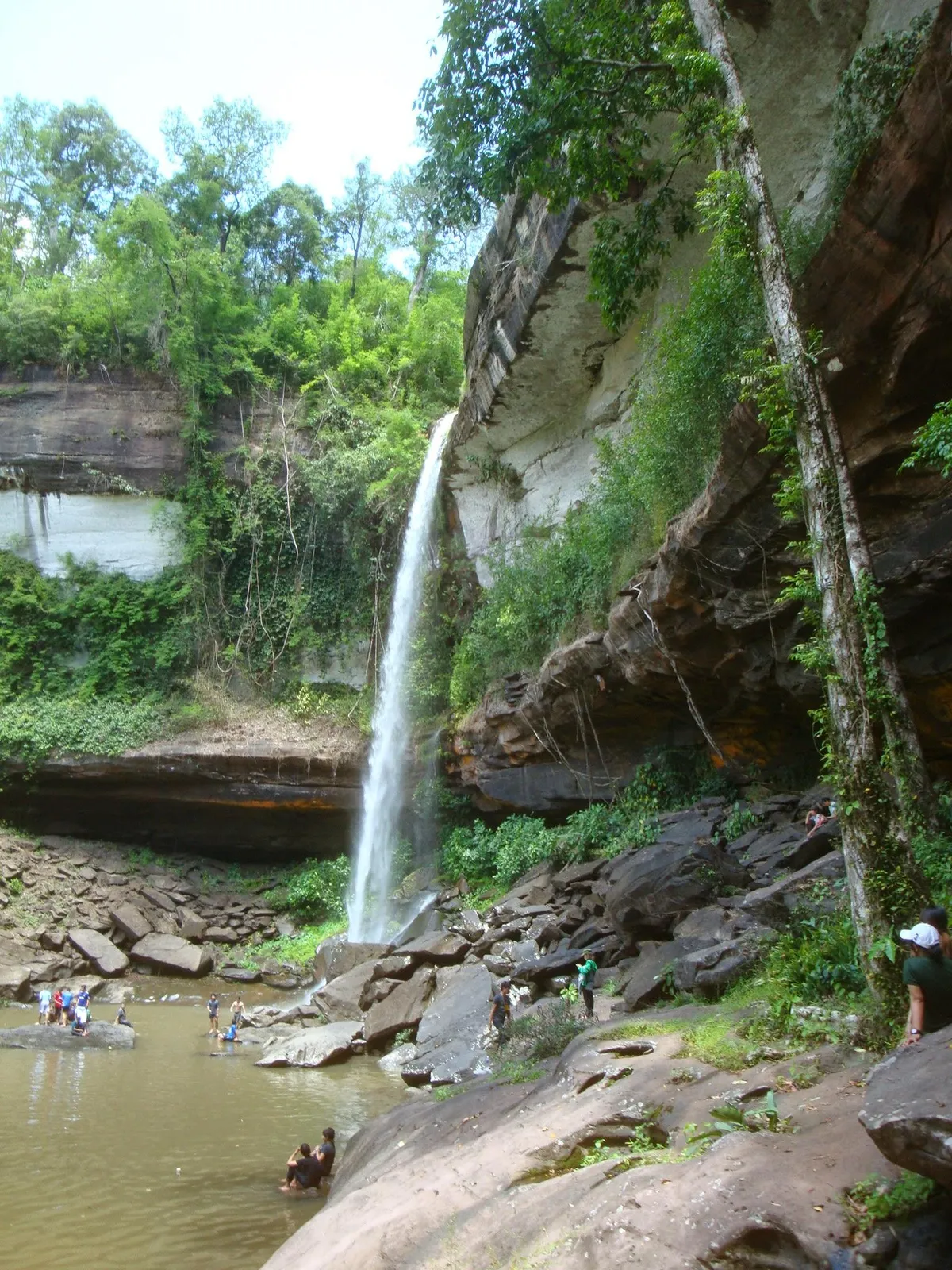 Phu Chong Na Yoi National Park